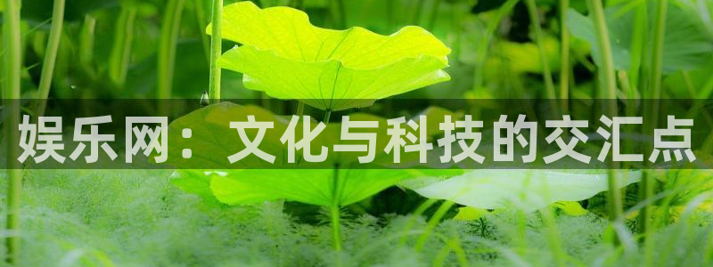 银河官网
