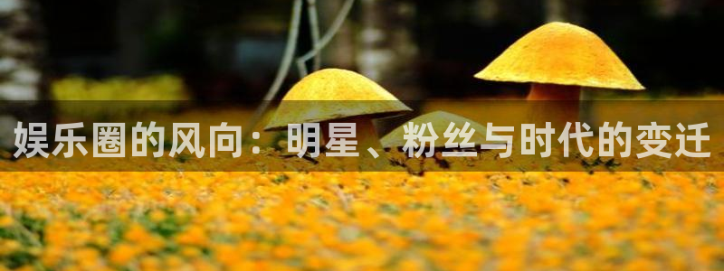 中国银河官网