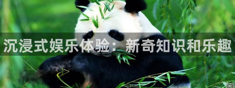 银河官网证券