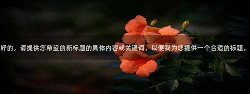 银河官网入口登录